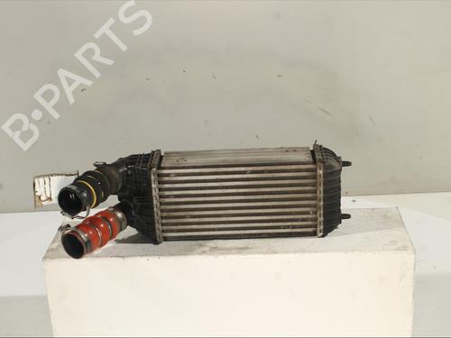 Intercooler CITROËN C3 II (SC_) 1.6 HDi | BP29173516M30 