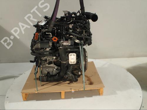 Used Engine VW TOURAN (1T3) 1.6 TDI (105 hp) 30332649