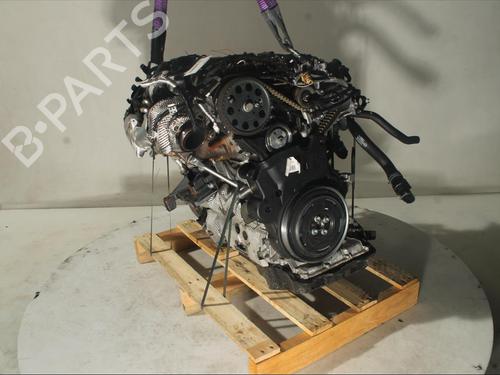 Moteur AUDI A5 Sportback (F5A, F5F) 40 TDI Mild Hybrid quattro | BP20503358M1 