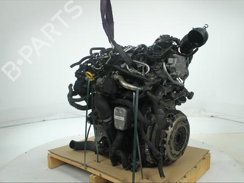 Engine VW TIGUAN (5N_) 2.0 TDI | BP38628497M1 - Image 4