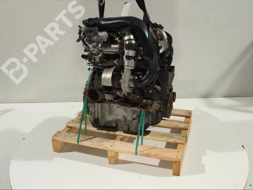 Engine DACIA SANDERO II 1.5 dCi 75 / Blue dCi 75 (B8JW, B8M4, B8AH, B8M7, B8M6) | BP11908408M1 