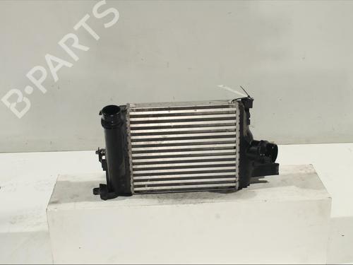 Intercooler DACIA SANDERO II TCe 90 (B8M1, B8MA, B8AC) (90 hp) 11908248