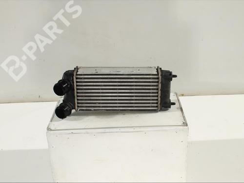 Intercooler PEUGEOT 3008 I MPV (0U_) 1.6 BlueHDi 120 (120 hp) 11902558