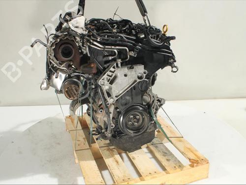 Engine AUDI Q3 (8UB, 8UG)  | BP24519865M1 