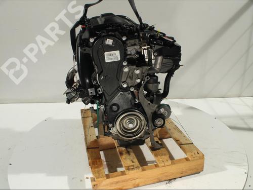 Engine FORD KUGA I  | BP11906555M1 