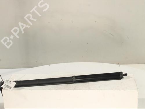 Used Tailgate lift support LEXUS NX (_Z1_) 300h (AYZ10_, AYZ10R) (197 hp) 27219781
