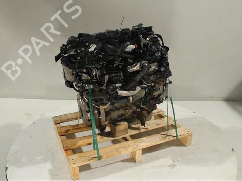 Engine FORD ECOSPORT  | BP13819340M1 