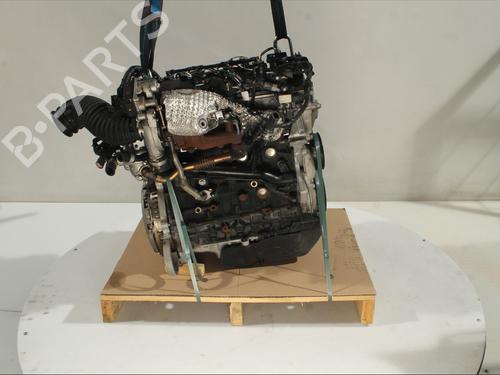 Used Engine KIA SPORTAGE IV (QL, QLE) 1.7 CRDi (116 hp) 32658206