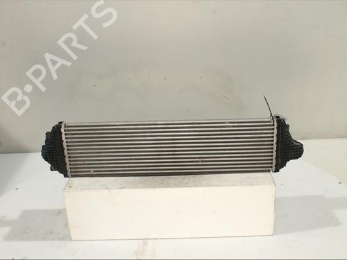 Intercooler FORD FOCUS IV (HN) 1.0 EcoBoost mHEV Flex | BP30291554M30