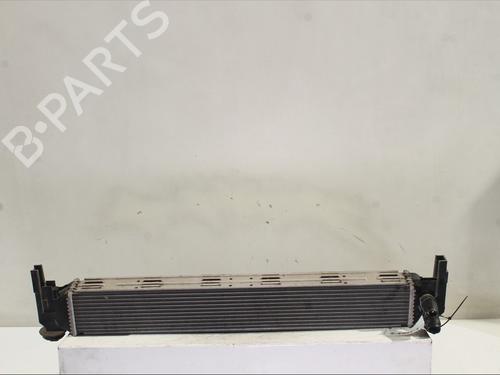 Used Intercooler Intercooler SEAT IBIZA IV (6J5, 6P1) 1.2 TSI (90 hp) 33418093 33418093