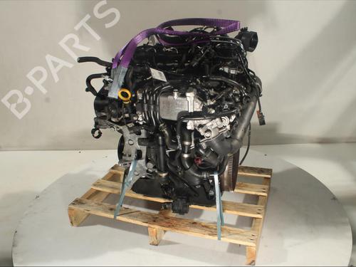 Engine AUDI A3 (8V1, 8VK) 1.6 TDI | BP27604455M1 