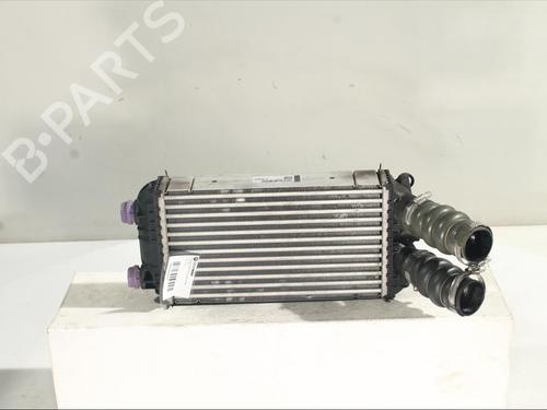 Used Intercooler Intercooler PEUGEOT 208 II (UB_, UP_, UW_, UJ_) 1.5 BlueHDI 100 (102 hp) 24948121 24948121
