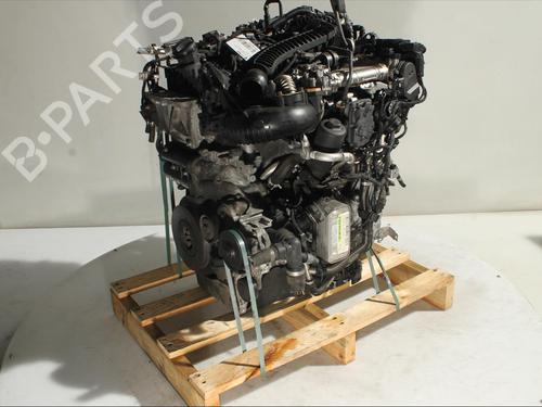 Engine MERCEDES-BENZ B-CLASS Sports Tourer (W247)  | BP24427184M1 