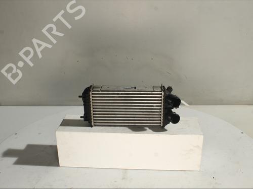 Used Intercooler Intercooler PEUGEOT 2008 II (UD_, US_, UY_, UJ_, UR_, UC_) 1.2 PureTech 130 (USHNS, URHNS) (130 hp) 32129763 32129763