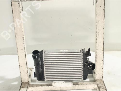 Used Intercooler NISSAN JUKE (F16_) DIG-T 117 (117 hp) 24541845