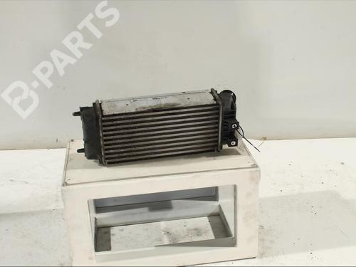 Intercooler PEUGEOT PARTNER Tepee 1.6 BlueHDi 100 | BP11903131M30 