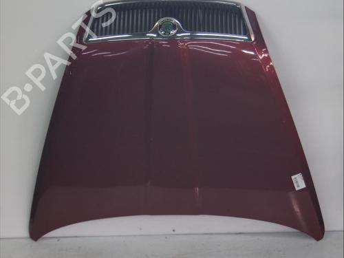 Hood SKODA OCTAVIA II (1Z3) 2.0 TDI 16V 1Z0823031B