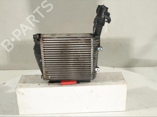 Intercooler VW TOUAREG (7LA, 7L6, 7L7) [2002-2013]  16573481