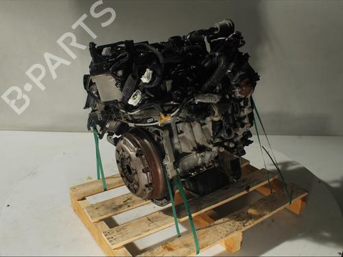 Engine FORD FIESTA VI (CB1, CCN) 1.6 TDCi | BP11912969M1 