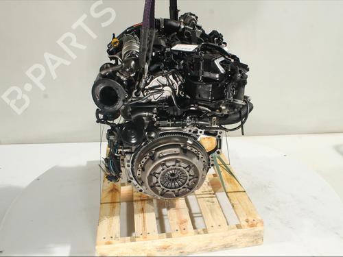 Engine FORD ECOSPORT 1.5 EcoBlue TDCi | BP24519933M1 