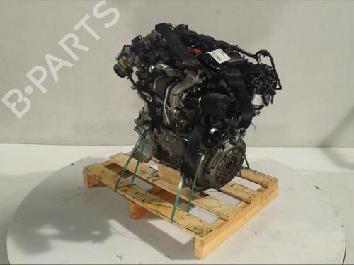 Engine FORD FIESTA VI (CB1, CCN)  | BP15515528M1 