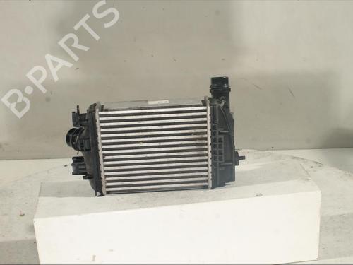 Intercooler NISSAN JUKE (F16_) DIG-T 117 | BP20642496M30 