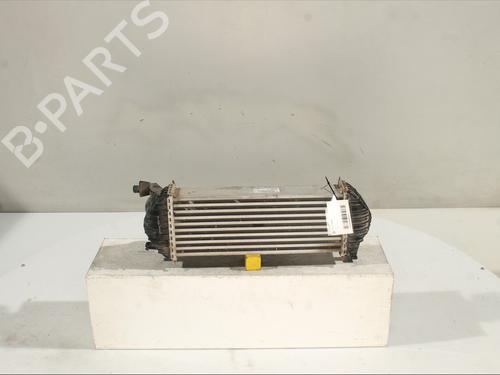 Used Intercooler RENAULT KANGOO / GRAND KANGOO II (KW0/1_) 1.5 dCi 90 (KW05, KW08, KW0G, KW11) (90 hp) 30956006
