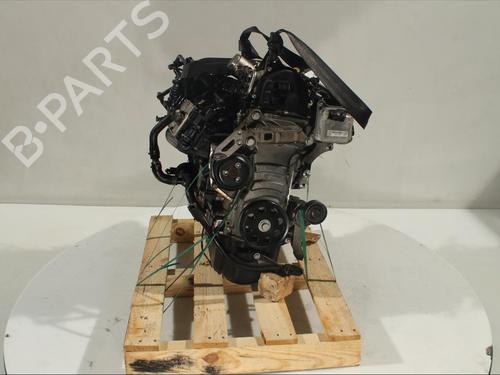 Engine VW POLO V (6R1, 6C1)  | BP13819381M1 