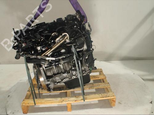 Used Engine FORD ECOSPORT [2011-2022]  20503483