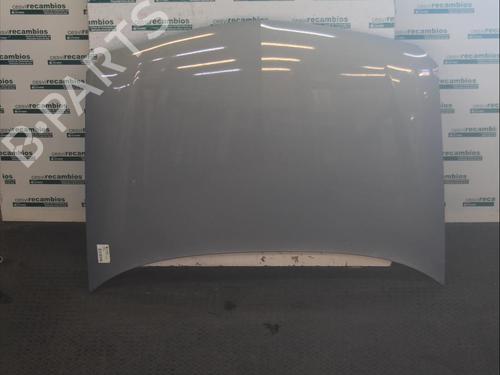 Used Hood RENAULT LAGUNA II Grandtour (KG0/1_) 2.2 dCi (KG0F) (150 hp) 12075291