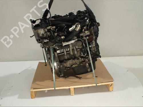 Motor für FORD FOCUS III 1.6 TDCi (95 hp) 28367862