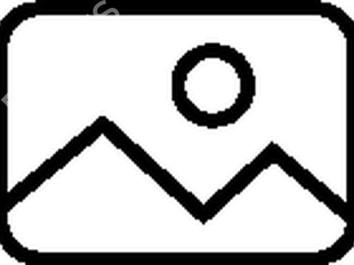 display-monitor-renault-arkana-i-lcm_-ldn_-2019-32874122 main image