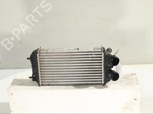 Intercooler PEUGEOT 2008 II (UD_, US_, UY_, UJ_, UR_, UC_) 1.2 PureTech 130 (USHNS, URHNS) (130 hp) 24606571