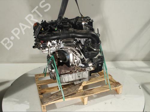Engine FORD FIESTA VII (HJ, HF)  | BP16941598M1 