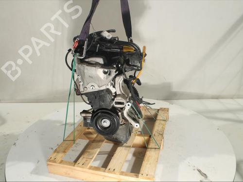 Engine DACIA SANDERO II 1.2 | BP18049575M1 