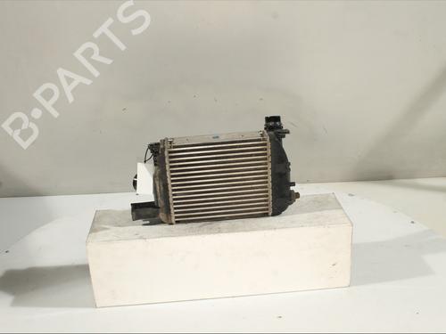 Intercooler DACIA DOKKER MPV (KE_) 1.5 dCi / Blue dCi 75 (KEAJ, KEAH, KEJW) | BP29930067M30 