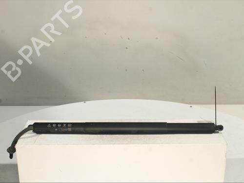 Used Tailgate lift support Tailgate lift support SKODA OCTAVIA IV (NX3, NN3, PV3) 2.0 RS (265 hp) 32691244 32691244