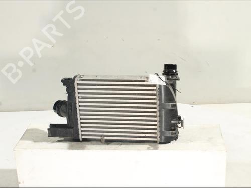 Used Intercooler Intercooler DACIA SANDERO II TCe 90 (B8M1, B8MA, B8AC) (90 hp) 24427265 24427265