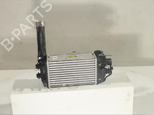 Intercooler HYUNDAI BAYON (BC3) 1.0 T-GDI | BP19706333M30 