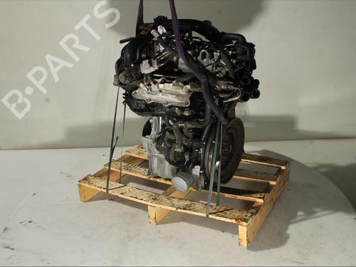 Engine VW POLO VI (AW1, BZ1, AE1) 1.0 TSI | BP24169636M1 