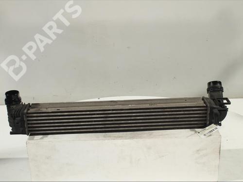 Intercooler RENAULT MEGANE III Hatchback (BZ0/1_, B3_) 1.2 TCe (BZ2B, BZ11) (116 hp) 11906812