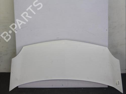 Used Hood RENAULT KANGOO Express (FW0/1_) 1.5 dCi 75 (FW07, FW10, FW04) (75 hp) 12080885