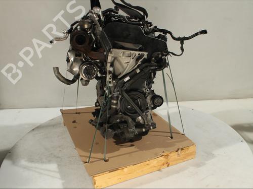 Motor VW POLO V (6R1, 6C1) 1.4 TDI | BP29985940M1