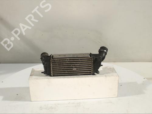 Used Intercooler CITROËN C5 III (RD_) 2.0 HDi 140 (RDRHF8, RDRHFA, RDRHA8, RDRHAJ) (140 hp) 30841446