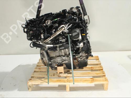 Used Engine Engine FORD ECOSPORT 1.5 EcoBlue TDCi (95 hp) 24519933 24519933