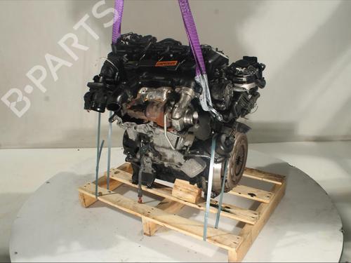 Engine FORD FOCUS II (DA_, HCP, DP)  | BP19124795M1 
