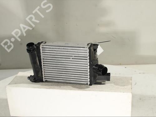 Intercooler DACIA DUSTER (HM_) 1.3 TCe 150 (HMM3) | BP23439974M30