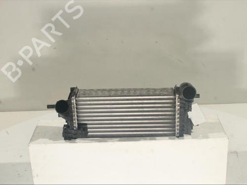 Used Intercooler FORD FOCUS III 1.0 EcoBoost (125 hp) 21783145