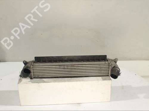 Intercooler HYUNDAI KONA (OS, OSE, OSI) 1.0 T-GDi | BP30867493M30