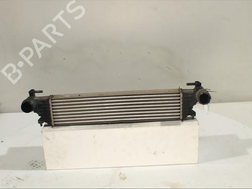 Used Intercooler Intercooler FIAT TIPO Hatchback (356_, 357_) 1.3 D (356HXH1A) (95 hp) 29463477 29463477